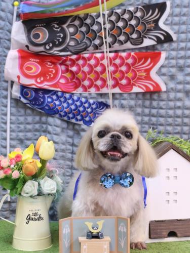 20230521マメちゃん